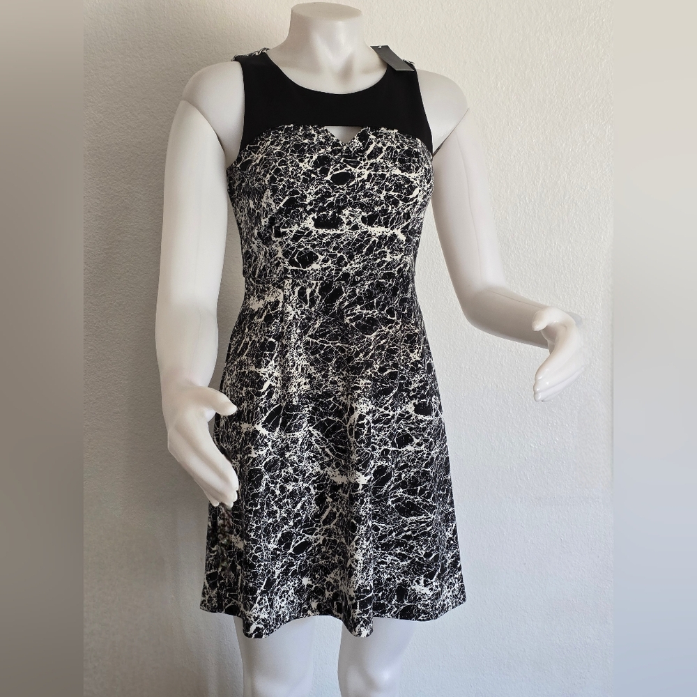 Attention Black and White Strapless Dress